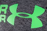 Under Armour Hoodie Grey
